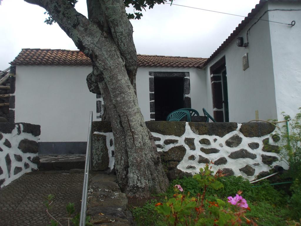 Вилла Adega Do Batista Calheta  Номер фото