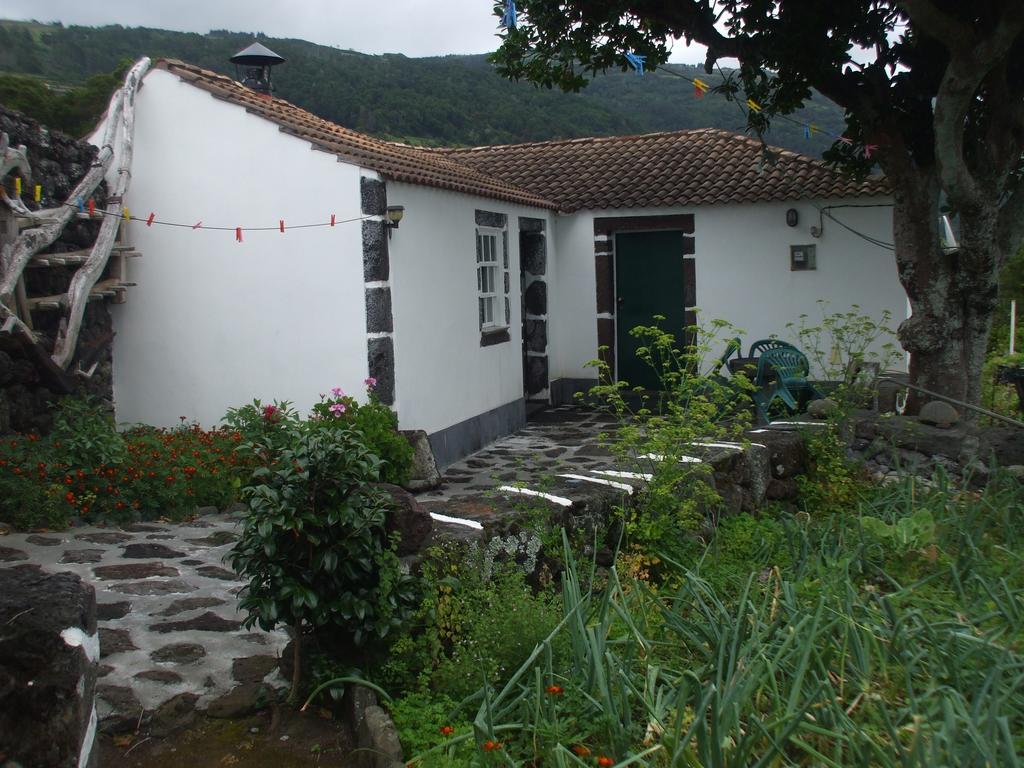 Вилла Adega Do Batista Calheta  Номер фото